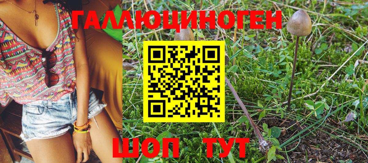 Галлюциногенные грибы MAGIC MUSHROOMS  Вход с VPN  Ленинск-Кузнецкий 