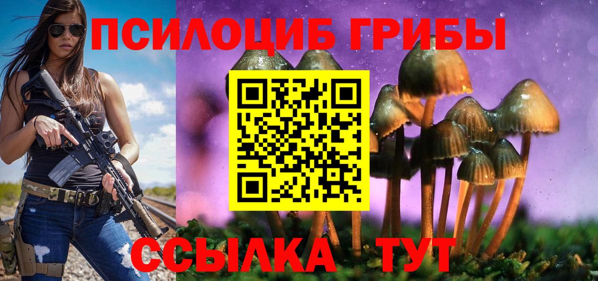 Псилоцибиновые грибы мухоморы Ленинск-Кузнецкий